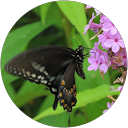 Home Kelly Maist profile picture