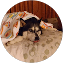 Home Richard Frazier profile picture